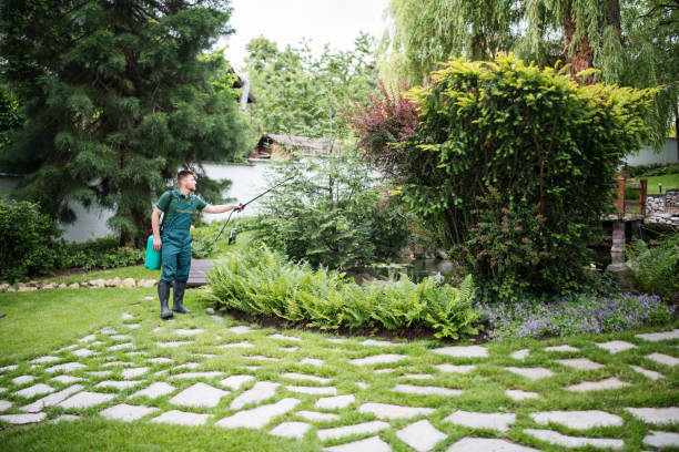 Best Best Pest Control Companies  in Palisade, CO
