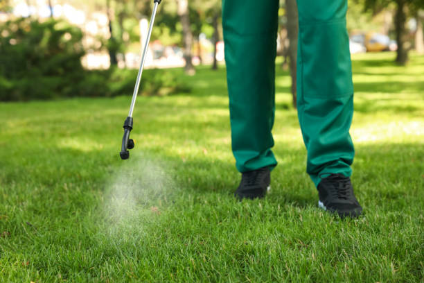 Best Flea Control Services  in Palisade, CO