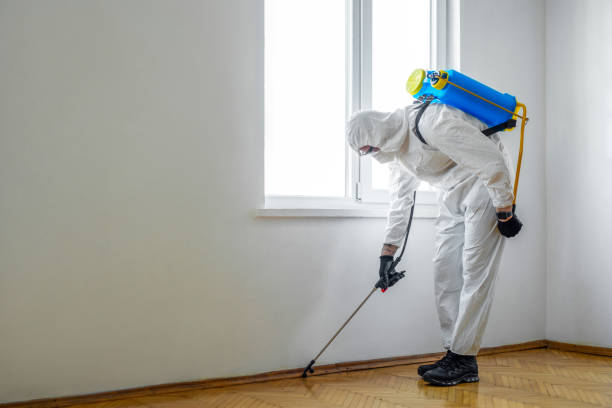 Best Commercial Pest Control Services  in Palisade, CO