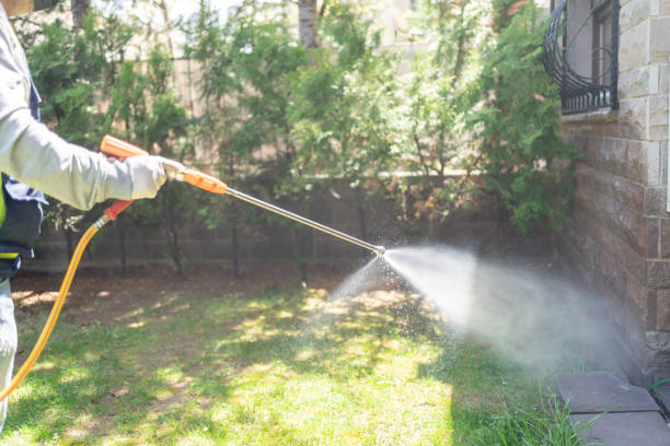 Best Wasp Removal Services  in Palisade, CO