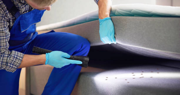 Best Residential Pest Control  in Palisade, CO