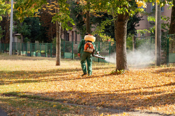 Wildlife Control Services in Palisade, CO