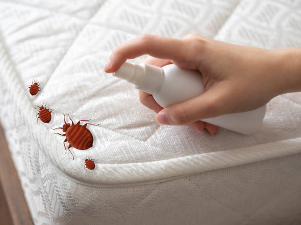 Best Emergency Pest Control  in Palisade, CO