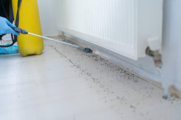 Best Exterminator Services  in Palisade, CO