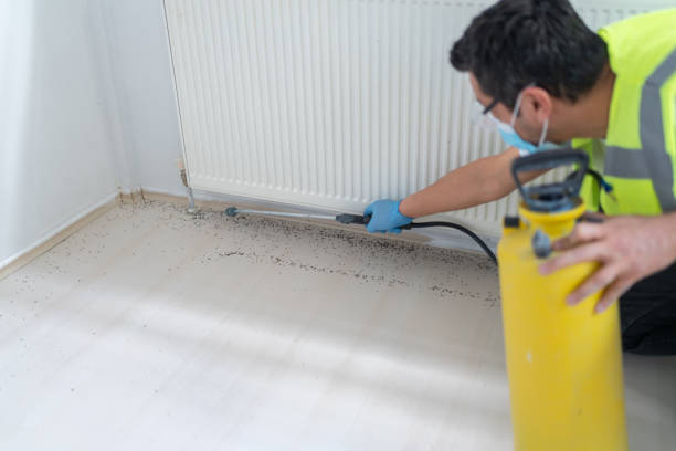 Best Pest Control Near Me in Palisade, CO