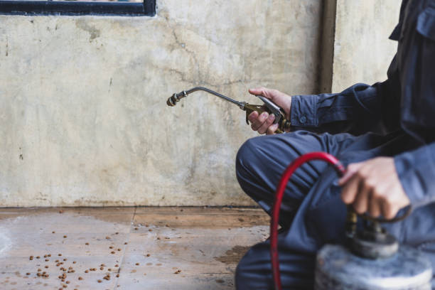 Best Rat Extermination Near Me  in Palisade, CO
