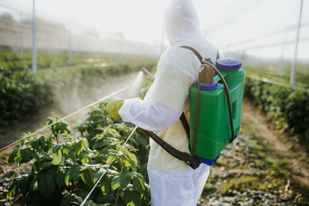 Best Exterminator Services  in Palisade, CO